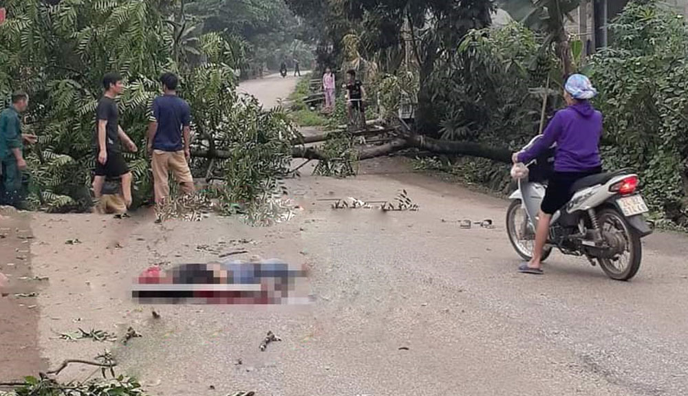 Hiện trường vụ việc. Hiện trường vụ việc.