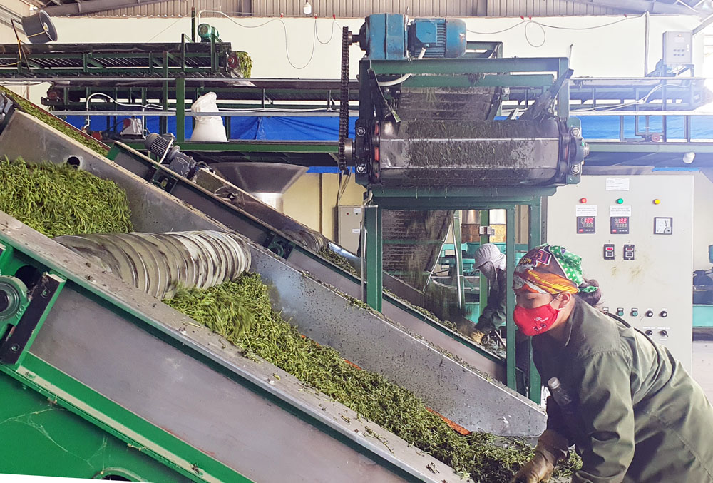 Ứng dụng khoa học công nghệ vào chế biến sản phẩm nông nghiệp đang được các địa phương quan tâm thực hiện.