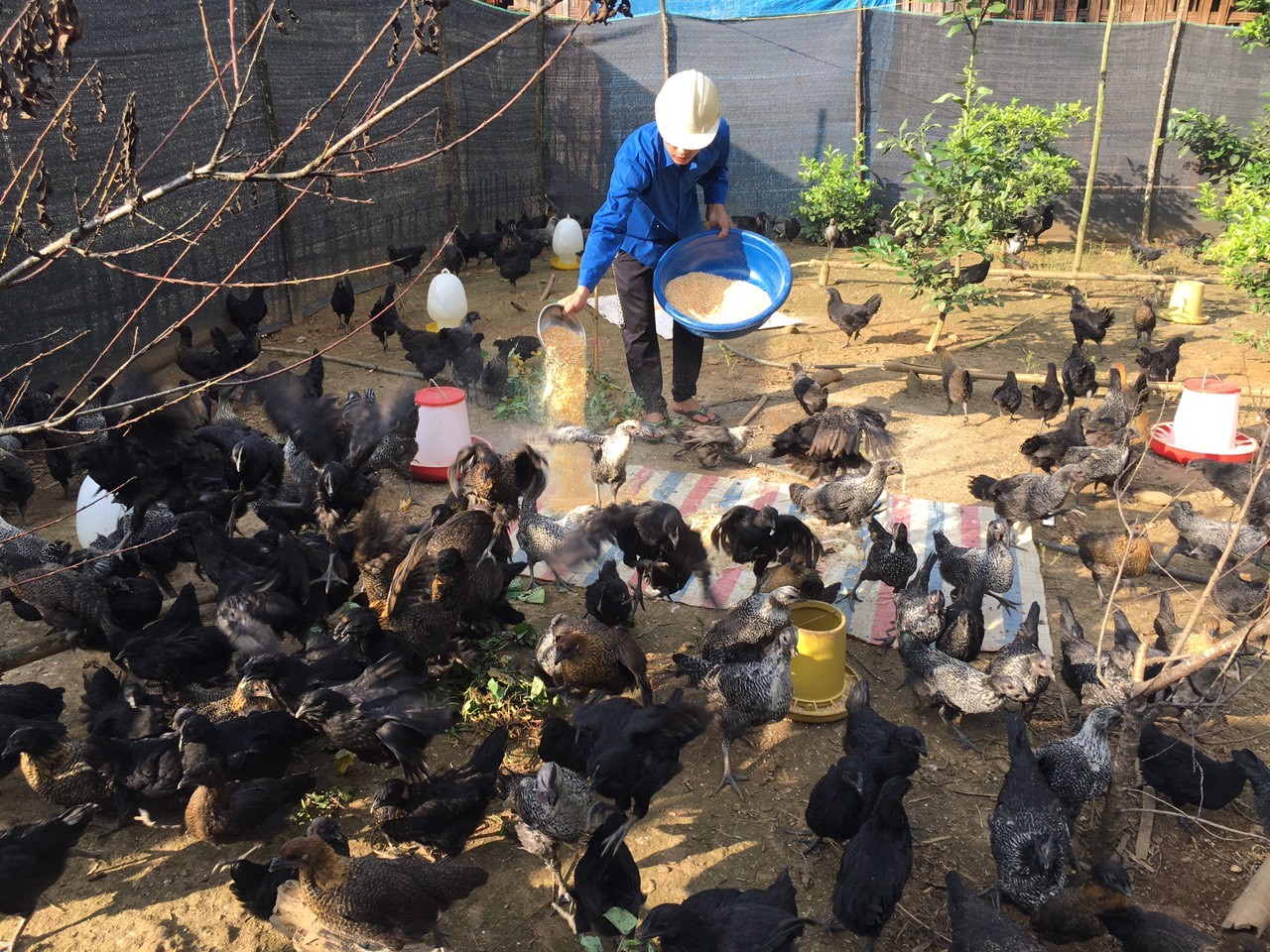 Phát huy tính tiền phong của đảng viên người dân tộc thiểu số ảnh 9 Phát huy tính tiền phong của đảng viên người dân tộc thiểu số ảnh 9