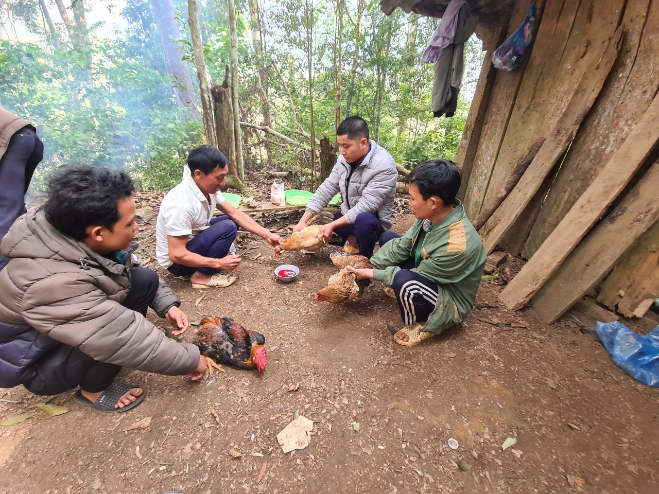 Giữ mãi cánh rừng xanh ảnh 2 Giữ mãi cánh rừng xanh ảnh 2