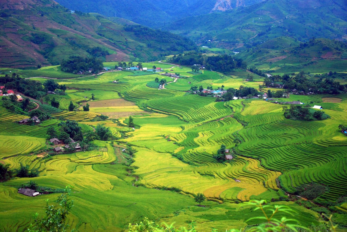 Bát Xát tích cực triển khai Đề án 01, nâng cao thu nhập cho Nhân dân ảnh 9