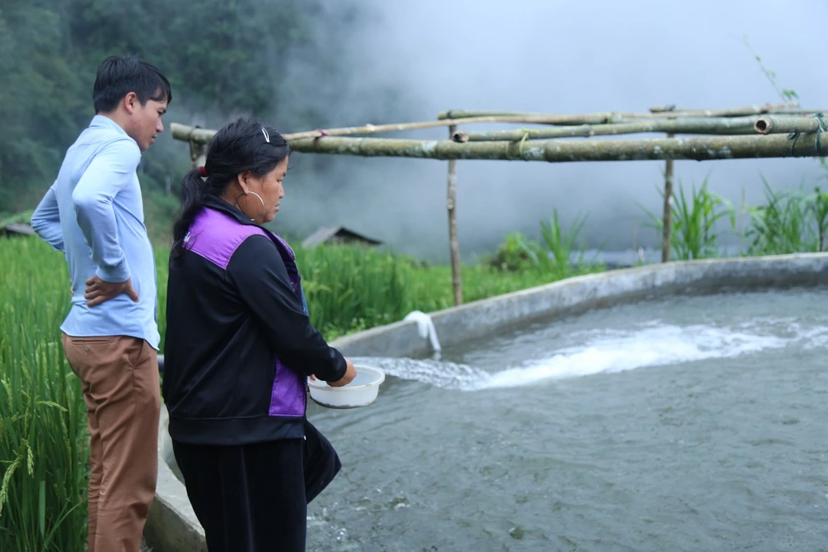 Bát Xát tích cực triển khai Đề án 01, nâng cao thu nhập cho Nhân dân ảnh 2