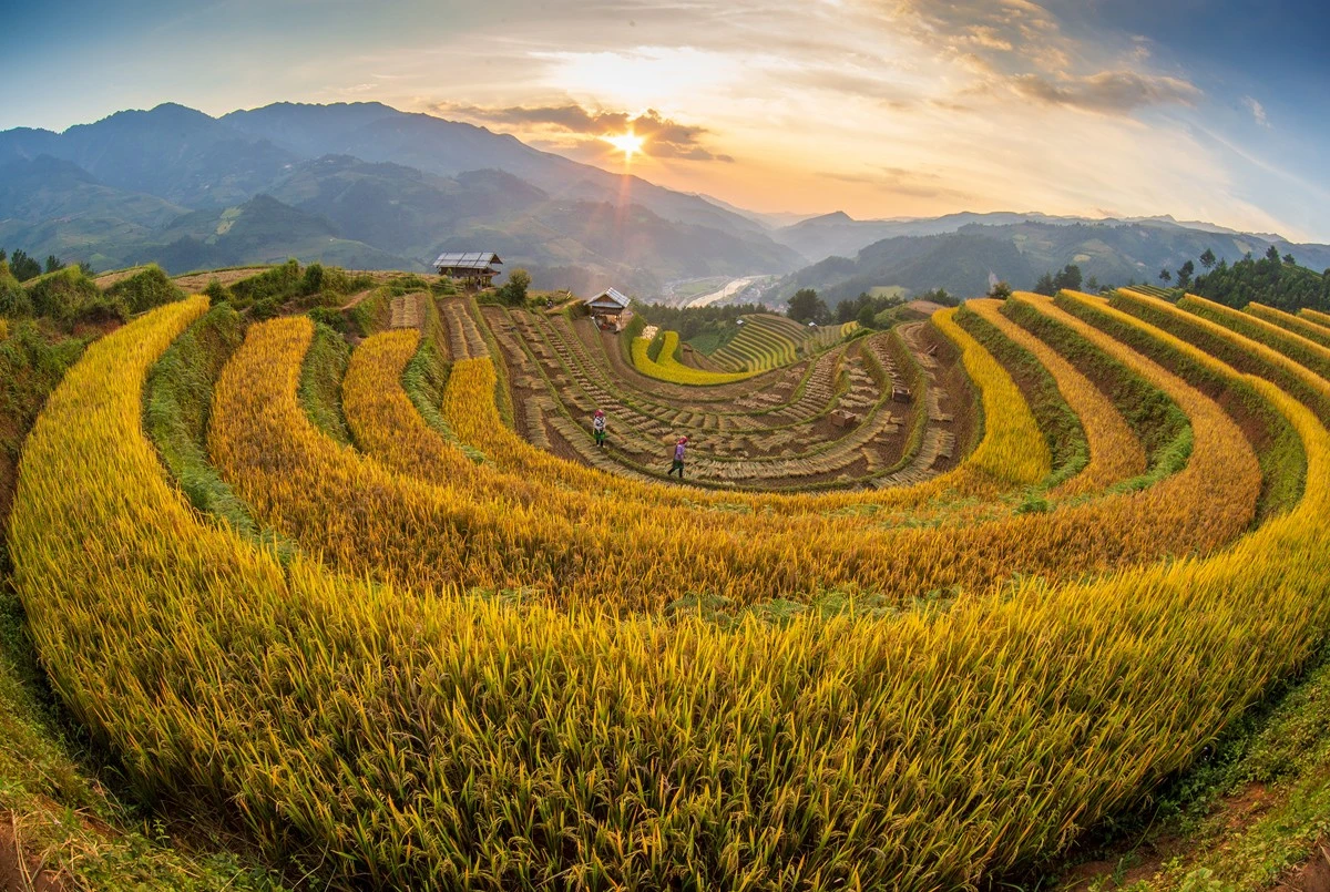 Mù Cang Chải (Yên Bái) là điểm đến yêu thích của người dân Lào Cai.