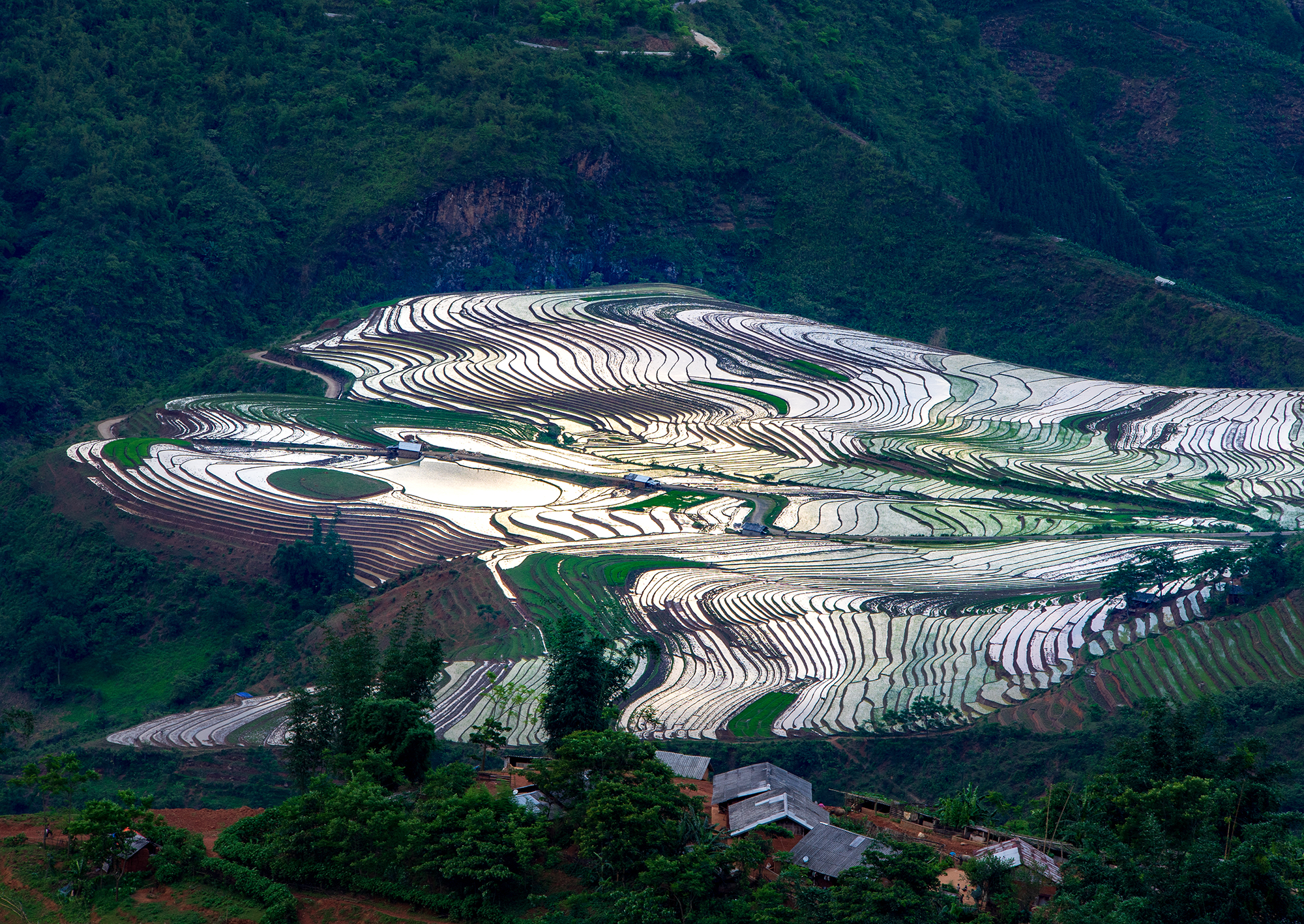 Mùa nước đổ ở vùng cao Lào Cai. Các tràn ruộng bạc thang như những tấm gương lớn phản chiếu lên trời. Sắc màu lạ. Nông dân vùng cao Sa Pa vào vụ cấy. Sau mùa nước đổ, bà con tranh thủ làm đất chuẩn bị mùa cấy. Vùng cao Bát Xát mùa nước đổ. Mùa nước đổ ở vùng cao Lào Cai. Các tràn ruộng bạc thang như những tấm gương lớn phản chiếu lên trời. Sắc màu lạ. Nông dân vùng cao Sa Pa vào vụ cấy. Sau mùa nước đổ, bà con tranh thủ làm đất chuẩn bị mùa cấy. Vùng cao Bát Xát mùa nước đổ.
