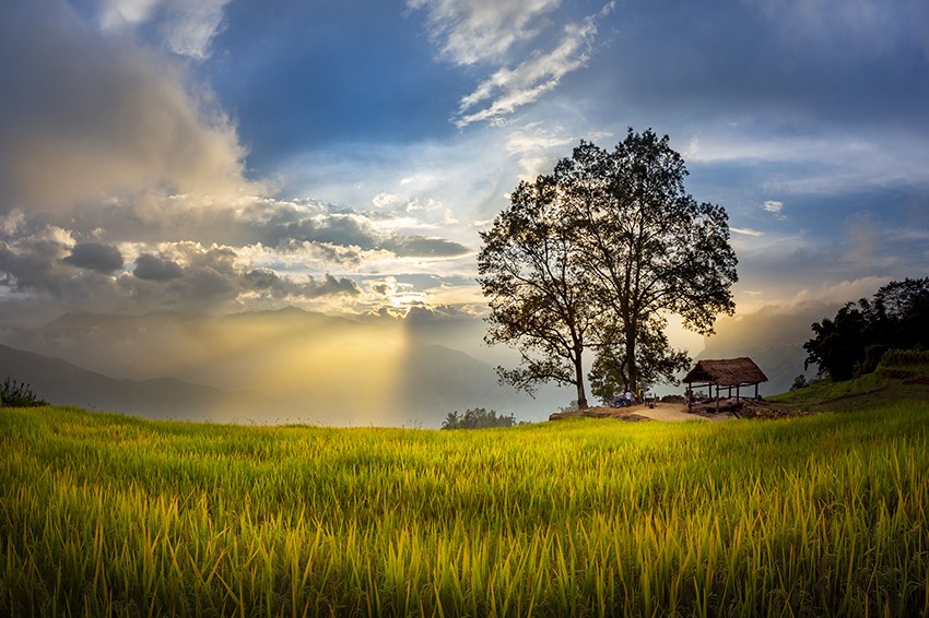 Tác phẩm "Mùa xuân trên quê hương Bát Xát" đoạt giải Nhất của tác giả Lê Việt Khánh. Tác phẩm "Trò chơi nhảy que" đoạt giải Nhì của tác giả Phạm Bằng. Tác phẩm "Mùa vàng" đoạt giải Nhì của tác giả Vũ Bảo Ngọc. Tác phẩm "Vui xuân vùng cao" đoạt giải Ba của tác giả Trần Nguyên Hương. Tác phẩm "Ban mai Choản Thèn" đoạt giải Ba của tác giả Viết Anh Mạnh. Tác phẩm "Cung đàn vùng cao" đoạt giải Ba của tác giả Nguyễn Văn Dần. Tác phẩm "Mùa xuân trên quê hương Bát Xát" đoạt giải Nhất của tác giả Lê Việt Khánh. Tác phẩm "Trò chơi nhảy que" đoạt giải Nhì của tác giả Phạm Bằng. Tác phẩm "Mùa vàng" đoạt giải Nhì của tác giả Vũ Bảo Ngọc. Tác phẩm "Vui xuân vùng cao" đoạt giải Ba của tác giả Trần Nguyên Hương. Tác phẩm "Ban mai Choản Thèn" đoạt giải Ba của tác giả Viết Anh Mạnh. Tác phẩm "Cung đàn vùng cao" đoạt giải Ba của tác giả Nguyễn Văn Dần.