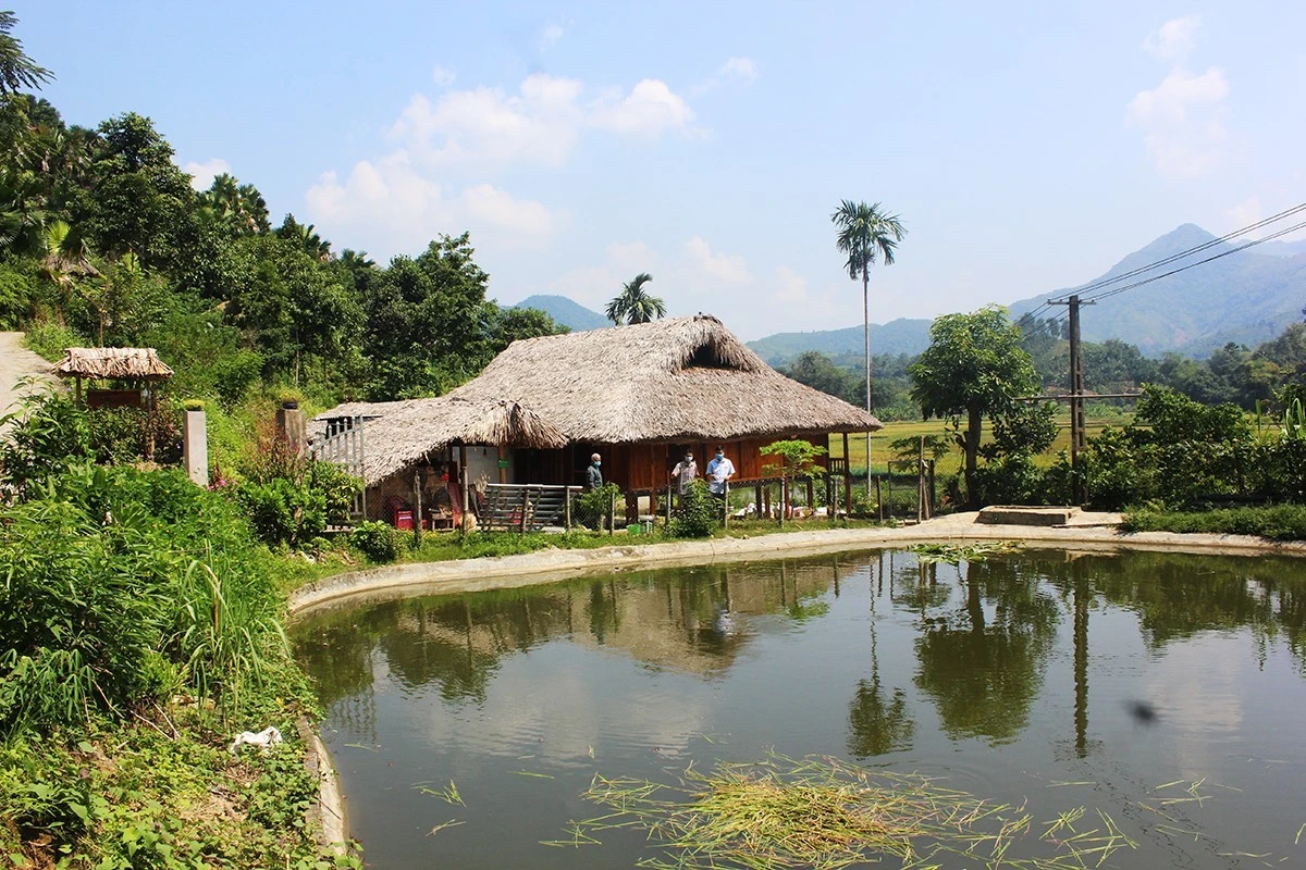 Vững bước dưới cờ Đảng ảnh 8