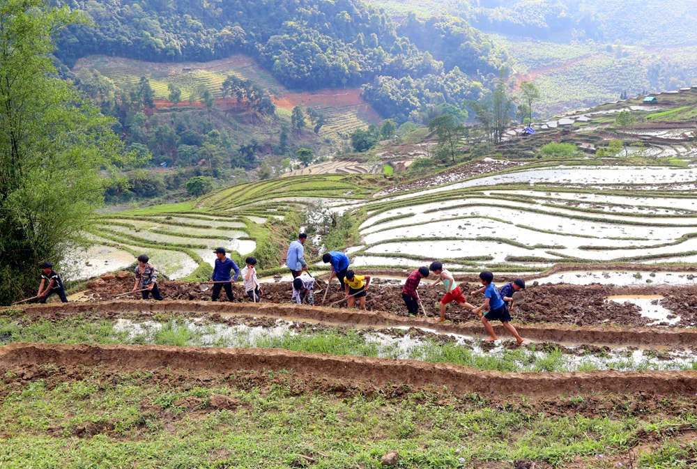 Vùng cao Bát Xát hối hả vào vụ cày cấy trên ruộng bậc thang ảnh 5