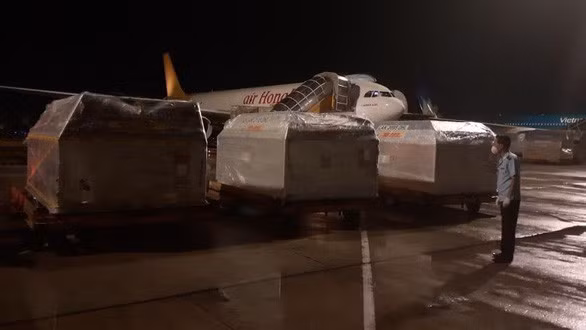 Các loại hàng hóa, vật tư, trang thiết bị y tế phục vụ phòng chống dịch bệnh COVID-19 về TP.HCM trong giai đoạn cao điểm giãn cách. Các loại hàng hóa, vật tư, trang thiết bị y tế phục vụ phòng chống dịch bệnh COVID-19 về TP.HCM trong giai đoạn cao điểm giãn cách.