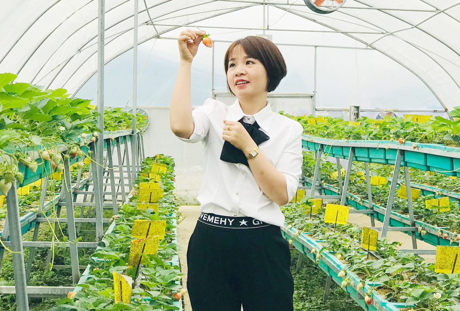 Lên Bắc Hà trải nghiệm vườn rau, quả ôn đới ảnh 5