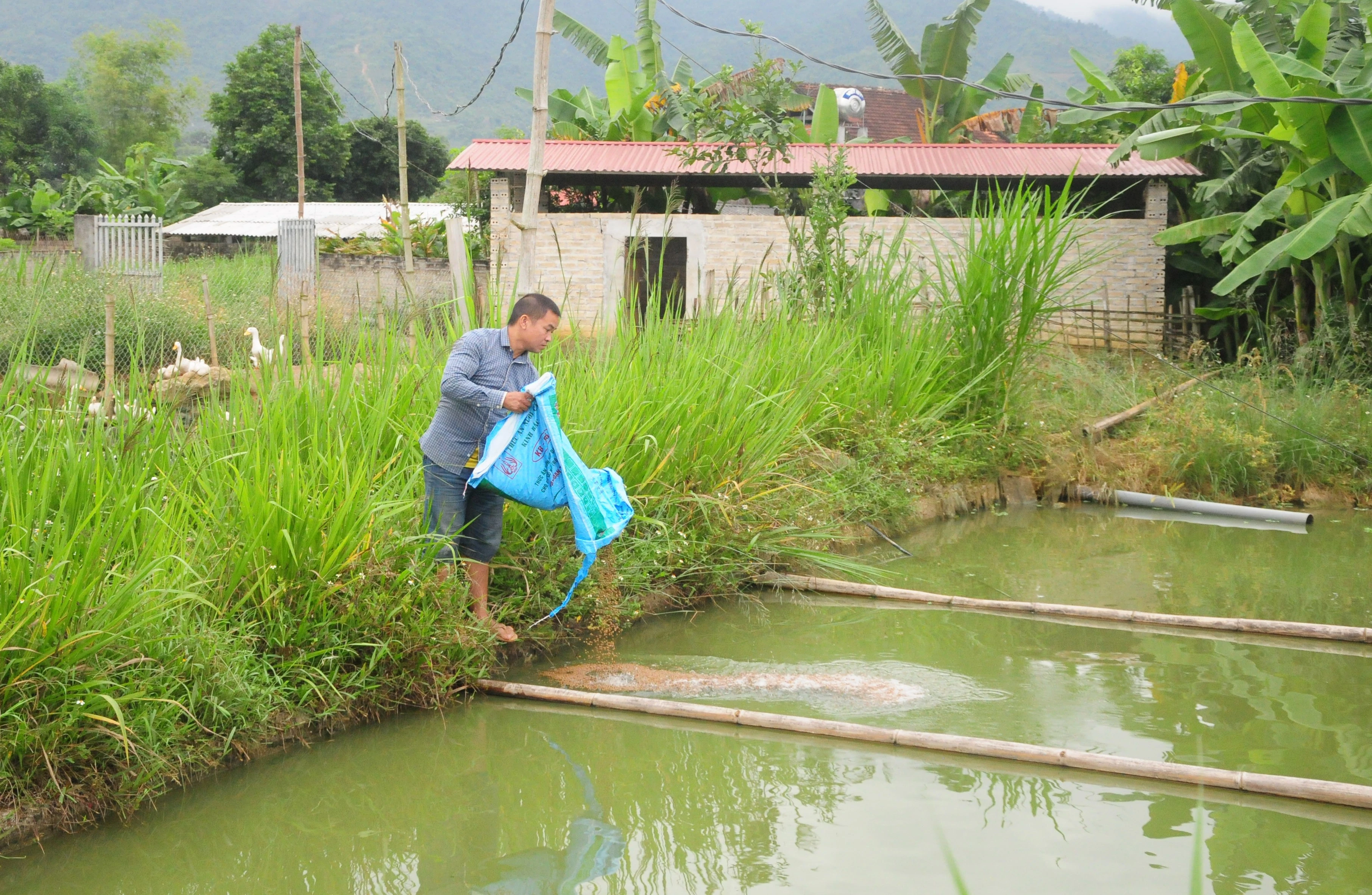 Ngôi dinh thự trăm tuổi ảnh 4