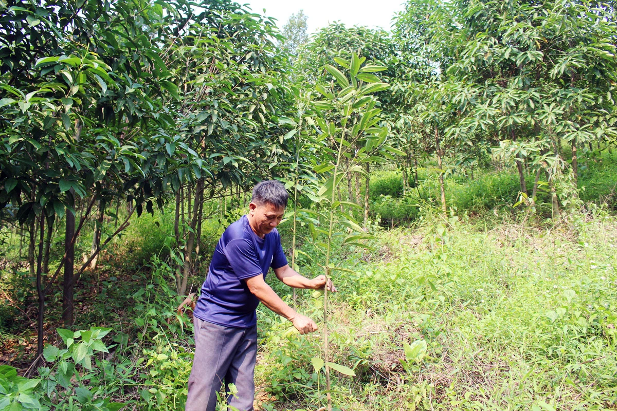 Ðiểm tựa để nhà nông đua tài ảnh 1
