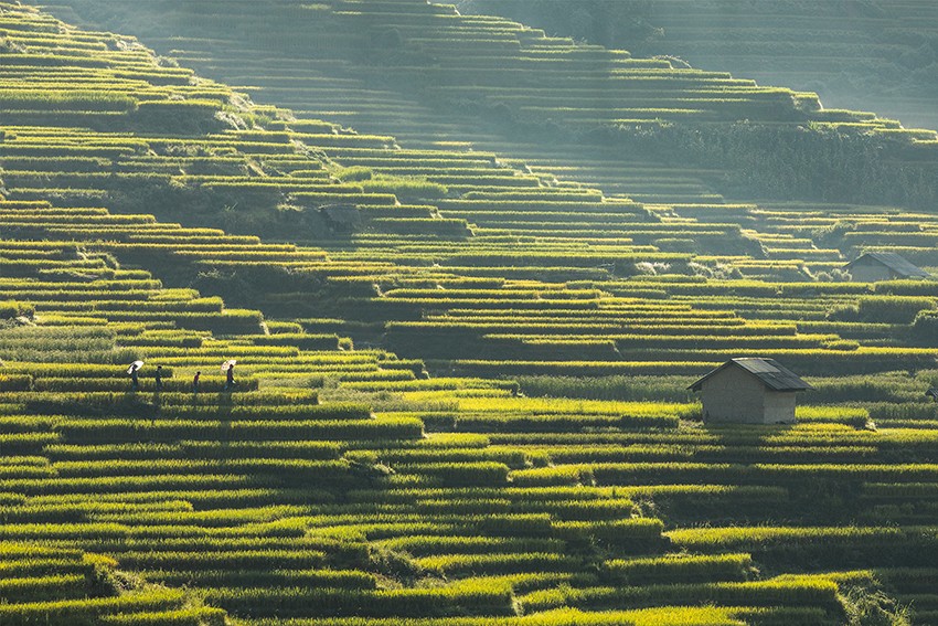 Tác phẩm "Mùa xuân trên quê hương Bát Xát" đoạt giải Nhất của tác giả Lê Việt Khánh. Tác phẩm "Trò chơi nhảy que" đoạt giải Nhì của tác giả Phạm Bằng. Tác phẩm "Mùa vàng" đoạt giải Nhì của tác giả Vũ Bảo Ngọc. Tác phẩm "Vui xuân vùng cao" đoạt giải Ba của tác giả Trần Nguyên Hương. Tác phẩm "Ban mai Choản Thèn" đoạt giải Ba của tác giả Viết Anh Mạnh. Tác phẩm "Cung đàn vùng cao" đoạt giải Ba của tác giả Nguyễn Văn Dần. Tác phẩm "Mùa xuân trên quê hương Bát Xát" đoạt giải Nhất của tác giả Lê Việt Khánh. Tác phẩm "Trò chơi nhảy que" đoạt giải Nhì của tác giả Phạm Bằng. Tác phẩm "Mùa vàng" đoạt giải Nhì của tác giả Vũ Bảo Ngọc. Tác phẩm "Vui xuân vùng cao" đoạt giải Ba của tác giả Trần Nguyên Hương. Tác phẩm "Ban mai Choản Thèn" đoạt giải Ba của tác giả Viết Anh Mạnh. Tác phẩm "Cung đàn vùng cao" đoạt giải Ba của tác giả Nguyễn Văn Dần.