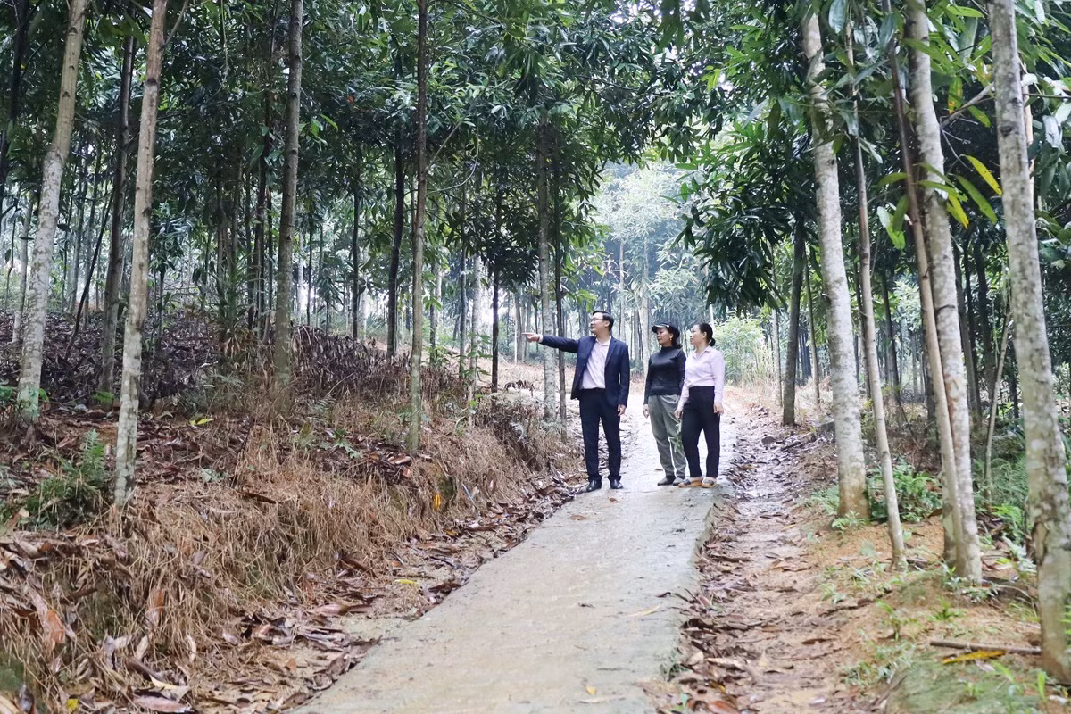 Mô hình phát triển sản xuất của bà Nguyễn Thị Hường, xã Sơn Hà.