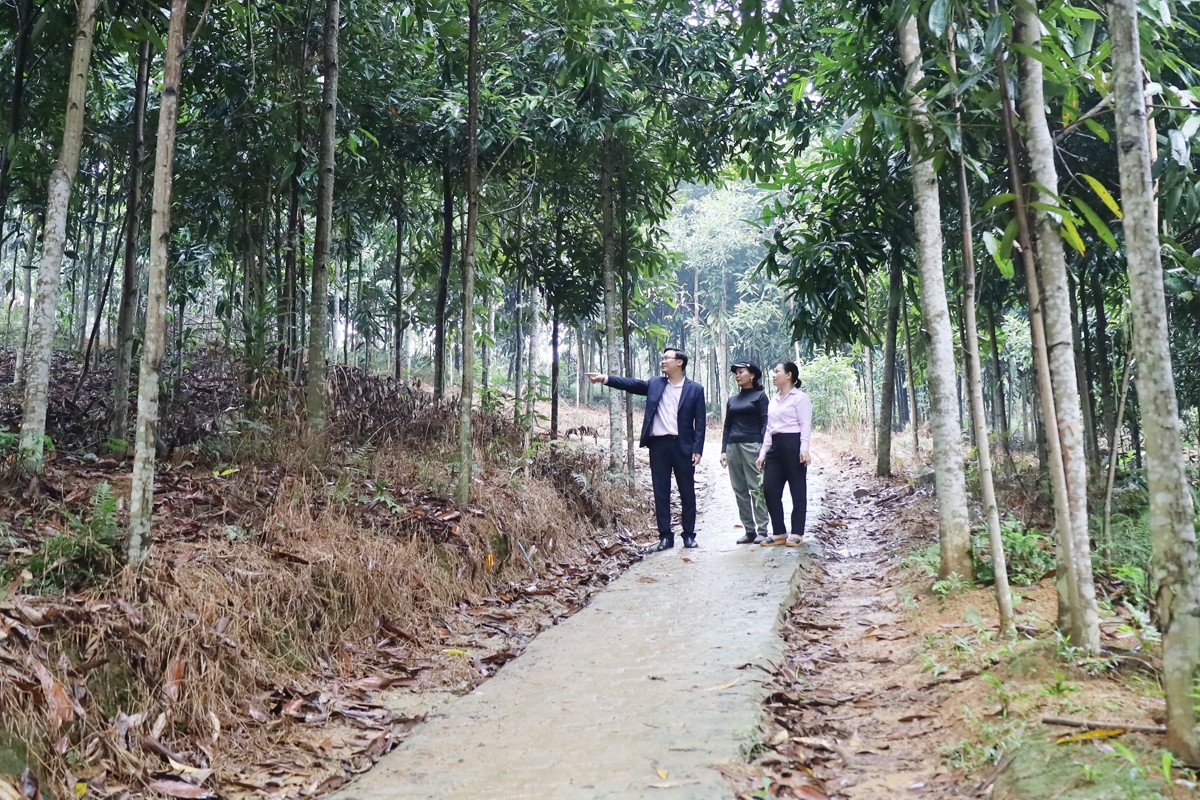 Mô hình phát triển sản xuất của bà Nguyễn Thị Hường, xã Sơn Hà.