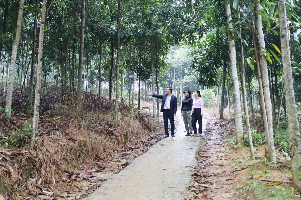 Mô hình phát triển sản xuất của bà Nguyễn Thị Hường, xã Sơn Hà.