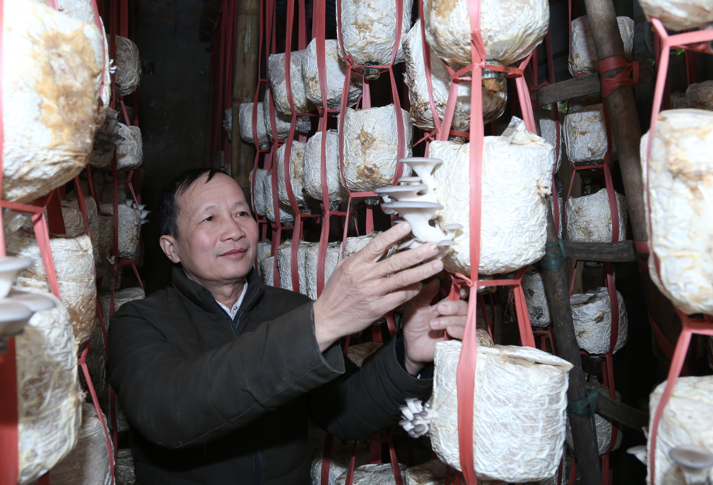 Cán bộ đi trước… ảnh 1