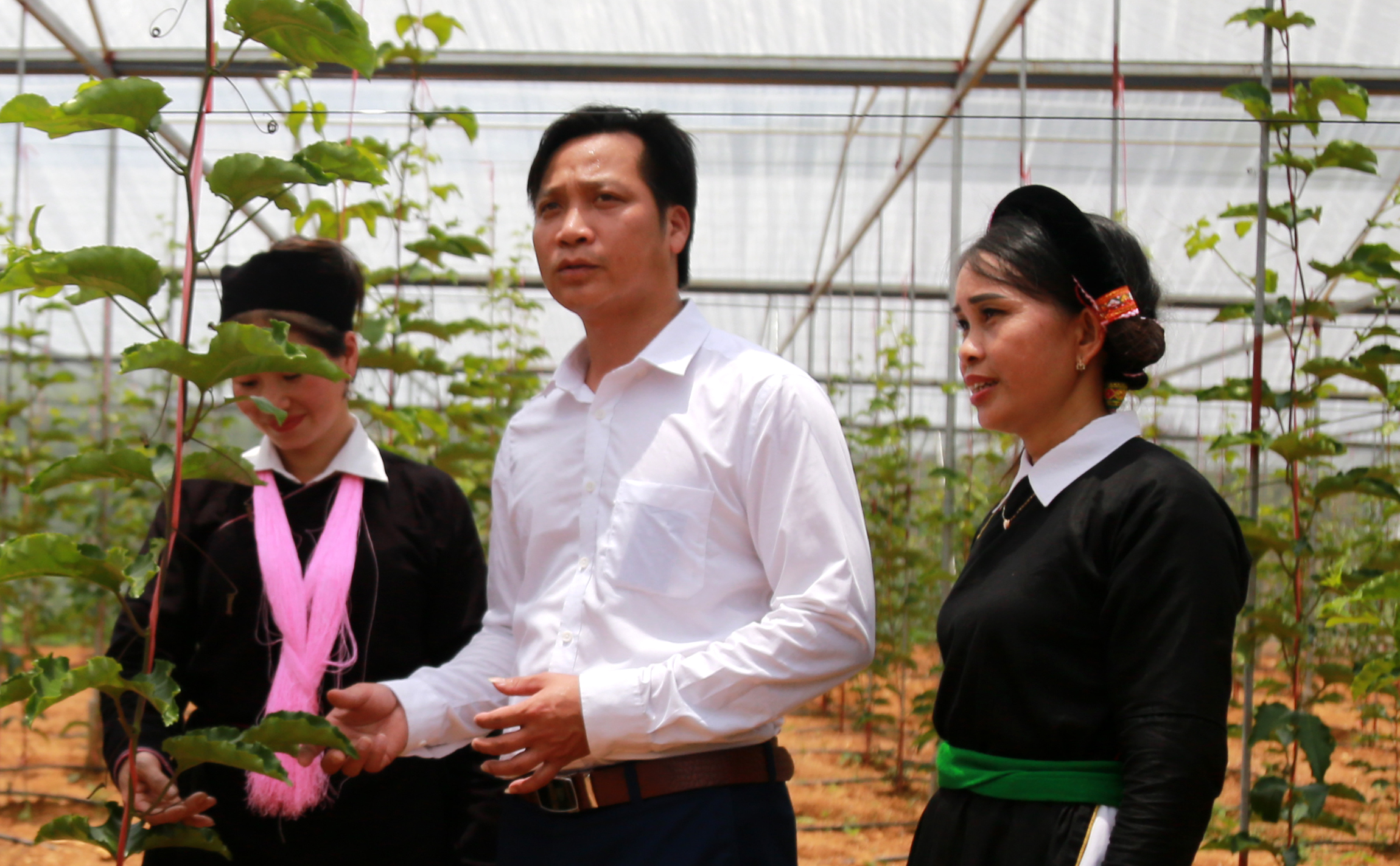 Cán bộ đi trước… ảnh 2