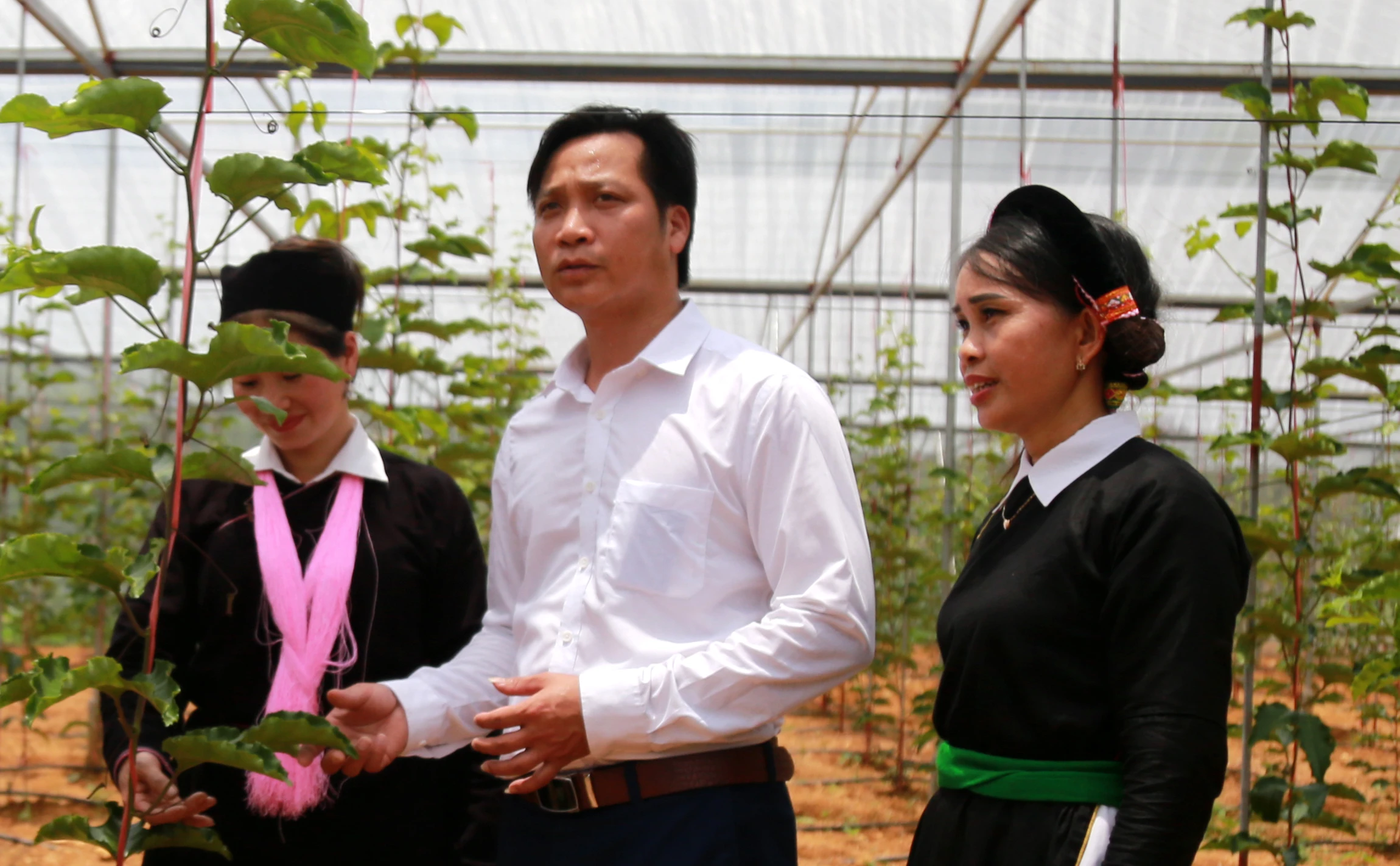 Cán bộ đi trước… ảnh 2 Cán bộ đi trước… ảnh 2