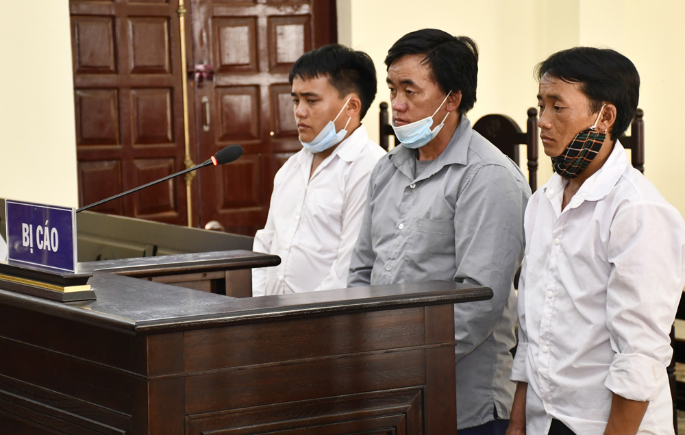 Án tù cho những kẻ phá rừng ảnh 1