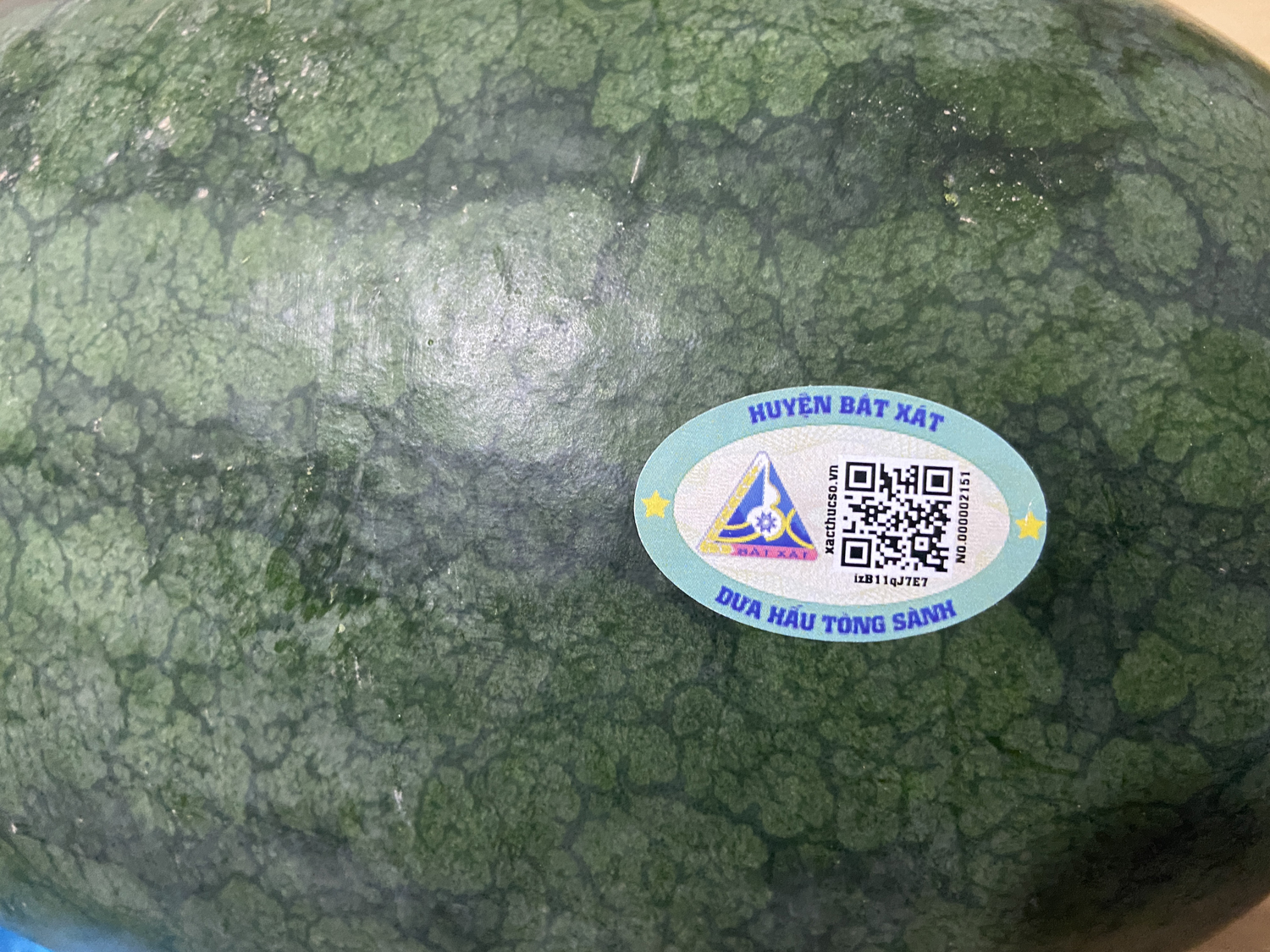 Dưa hấu xã Tòng Sành tham gia truy xuất nguồn gốc điện tử QR.