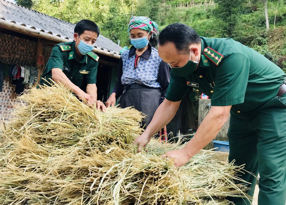 Bộ đội biên phòng Si Ma Cai hướng dẫn người dân xã Nàn Sán dự trữ thức ăn cho gia súc.