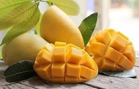 Hàn Quốc đẩy mạnh nhập khẩu quả xoài Việt Nam ảnh 1 Hàn Quốc đẩy mạnh nhập khẩu quả xoài Việt Nam ảnh 1