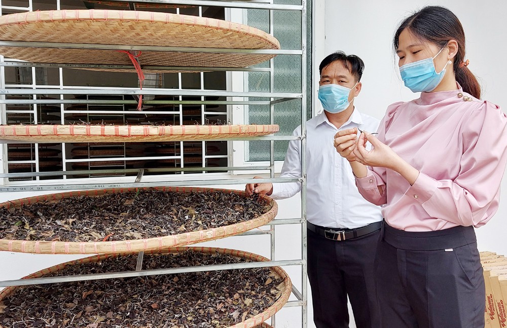 Lãnh đạo xã Tả Thàng (Mường Khương) trực tiếp tìm gặp doanh nghiệp sản xuất, chế biến chè để liên kết tiêu thụ sản phẩm cho người dân. Lãnh đạo xã Tả Thàng (Mường Khương) trực tiếp tìm gặp doanh nghiệp sản xuất, chế biến chè để liên kết tiêu thụ sản phẩm cho người dân.