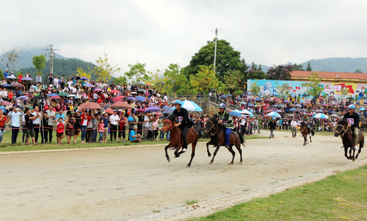 Giải đua ngựa truyền thống huyện Bắc Hà được tổ chức hằng năm thu hút hàng vạn du khách. Giải đua ngựa truyền thống huyện Bắc Hà được tổ chức hằng năm thu hút hàng vạn du khách.