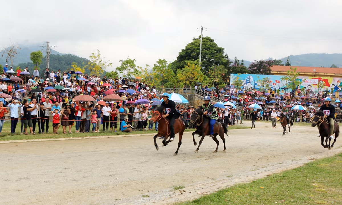 Giải đua ngựa truyền thống huyện Bắc Hà được tổ chức hằng năm thu hút hàng vạn du khách.