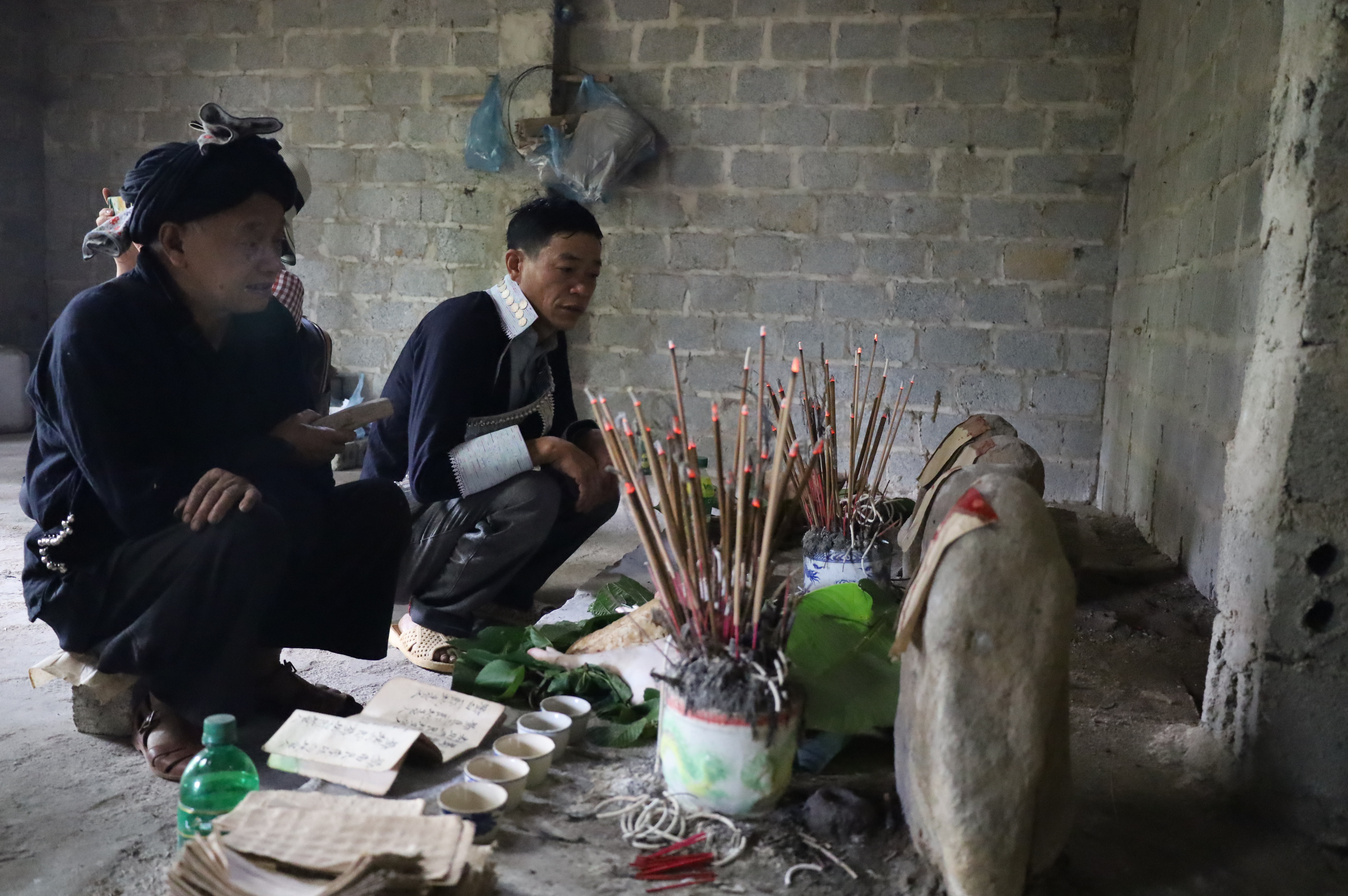 Giữ mãi cánh rừng xanh ảnh 6