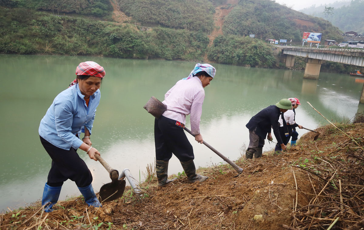 Vùng cao hối hả ngày mùa ảnh 7 Vùng cao hối hả ngày mùa ảnh 7
