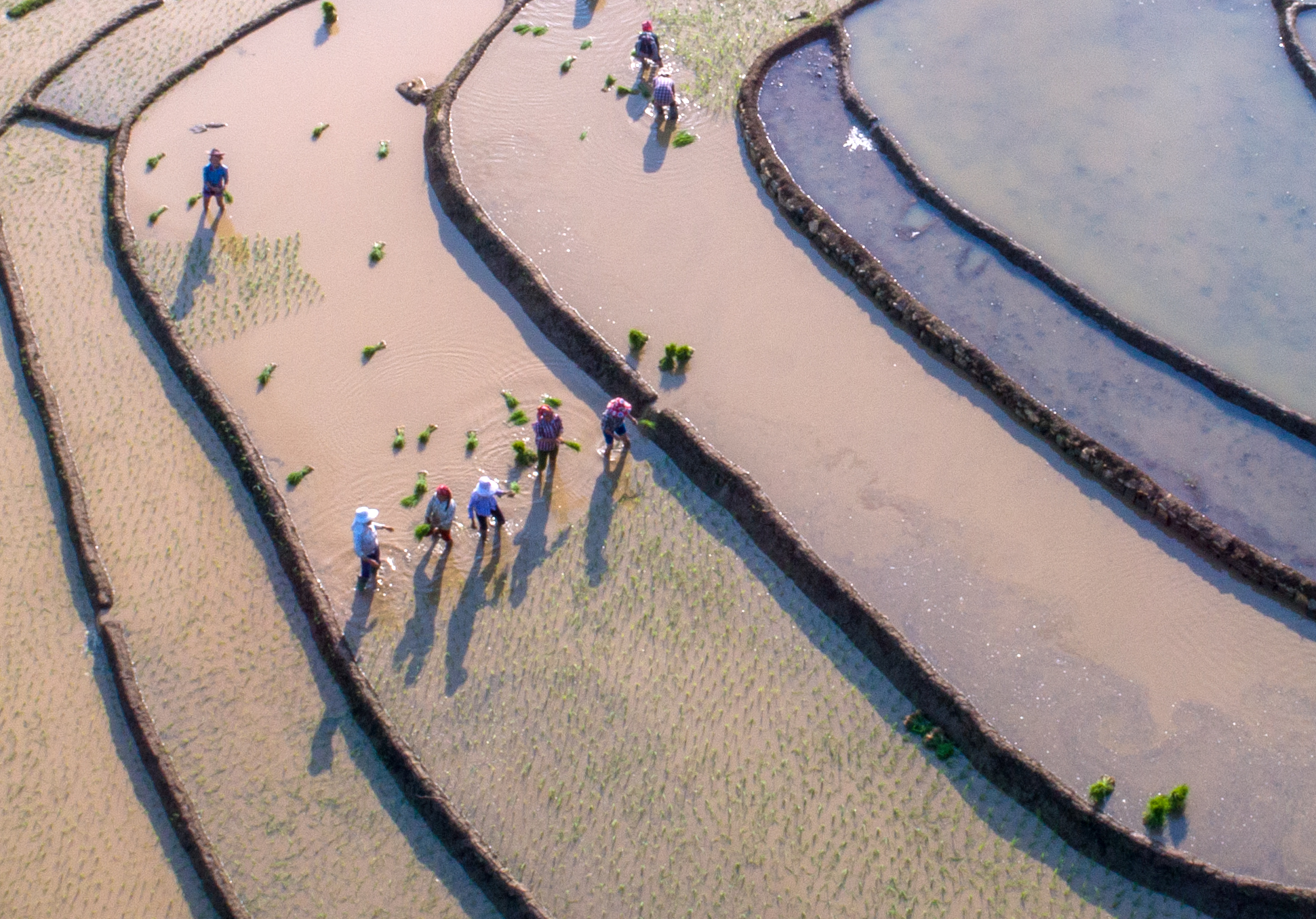Mùa nước đổ ở vùng cao Lào Cai. Các tràn ruộng bạc thang như những tấm gương lớn phản chiếu lên trời. Sắc màu lạ. Nông dân vùng cao Sa Pa vào vụ cấy. Sau mùa nước đổ, bà con tranh thủ làm đất chuẩn bị mùa cấy. Vùng cao Bát Xát mùa nước đổ. Mùa nước đổ ở vùng cao Lào Cai. Các tràn ruộng bạc thang như những tấm gương lớn phản chiếu lên trời. Sắc màu lạ. Nông dân vùng cao Sa Pa vào vụ cấy. Sau mùa nước đổ, bà con tranh thủ làm đất chuẩn bị mùa cấy. Vùng cao Bát Xát mùa nước đổ.