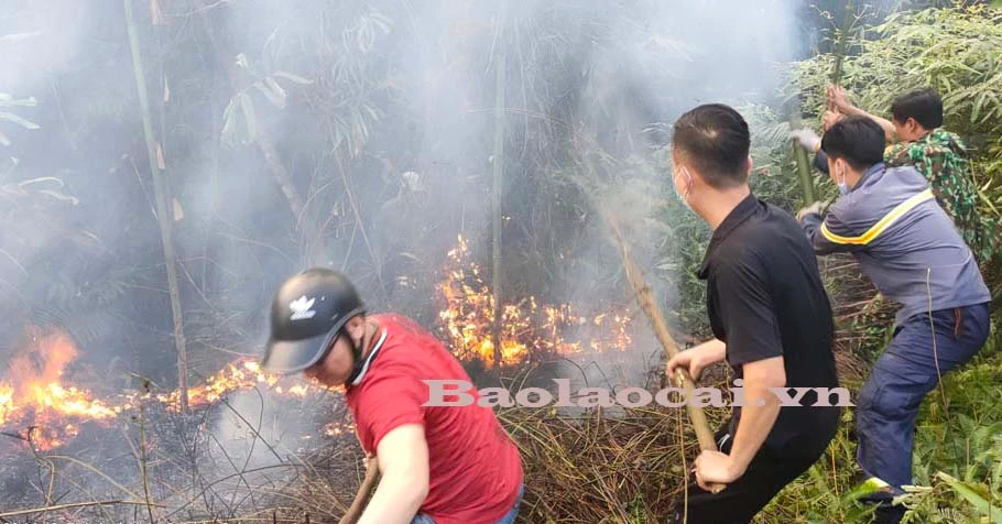Nhân dân tham gia dập lửa. Nhân dân tham gia dập lửa.