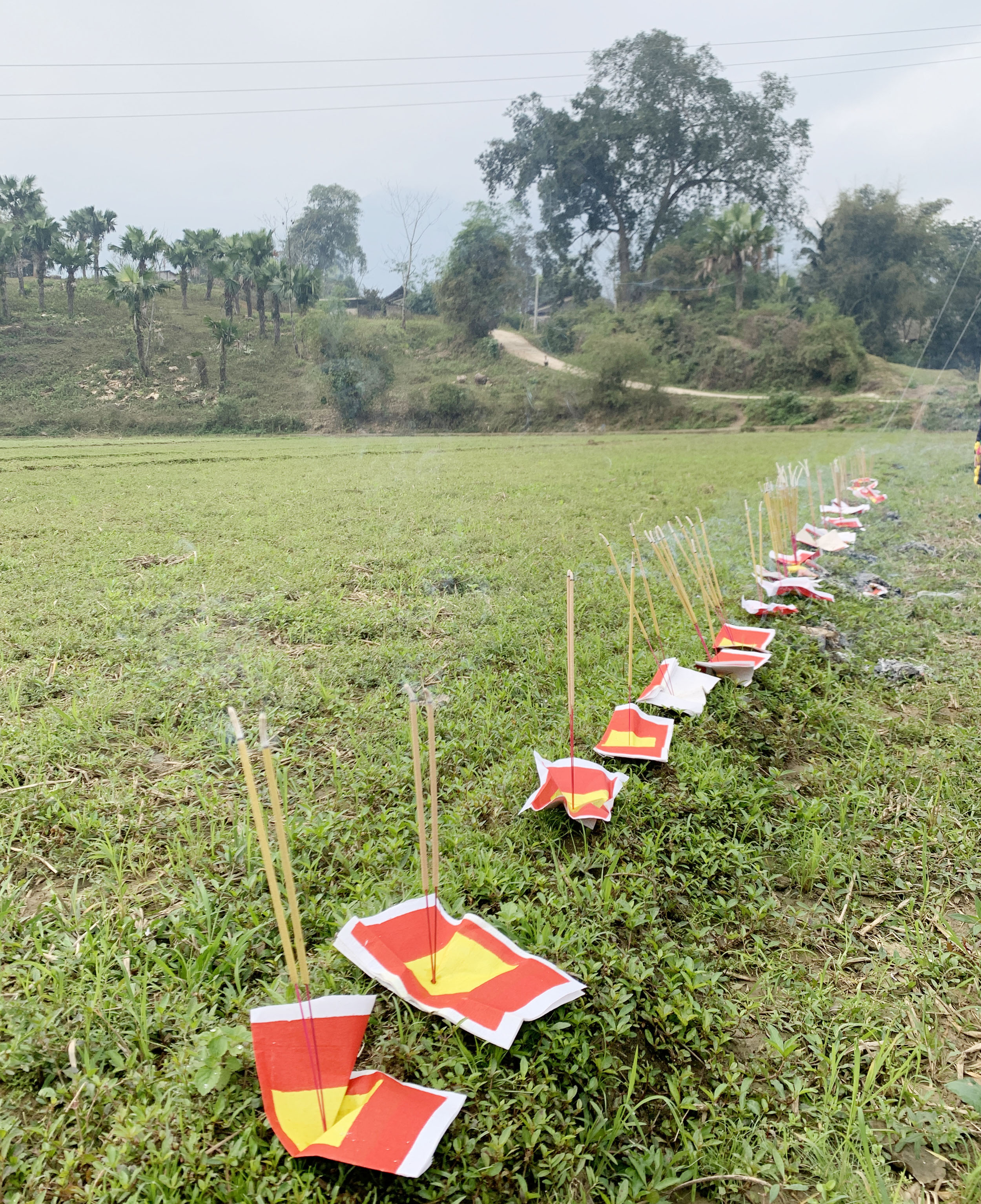 Mo Tham Thát là nghi lễ có ý nghĩa, giá trị về mặt địa lý, phong thủy và tín ngưỡng. Cánh đồng rộng trong thôn được thầy Mo chọn làm nơi chỉ hướng. Một tập giấy tiền, giấy vàng được đốt để thực hiện nghi lễ. Ba thầy mo thực hành vái ba vái thần linh, trời đất, rồi ông Mo Tham Thát đọc bài cúng, ý nghĩa như sau: Hôm nay có hương, hoa, năm mới đã đến, ông mo thay mặt dân làng đi chào ông Tham Thát… …Cầu mong ông phù hộ cho bản làng bình yên, người người mạnh khỏe, trồng lúa được mùa, có nhiều tiền bạc, đóng cổng làng cho yên (ngăn không cho cái xấu vào làng) cầu cho mọi thứ tốt đẹp vào làng. Ông Hoàng Văn Kể, thầy mo làng, người chủ trì nghi lễ Mo Tham Thát. Sau khi những nén hương được thắp, đã chọn được hướng kiêng, thầy mo sẽ chỉ cho người dân trong thôn, xã biết năm nay làm nhà, chuồng trại, đi buôn bán, hay đi rừng… phải kiêng hướng đã chọn. Năm Tân Sửu hướng kiêng là hướng Đông. Sau khi đã xác định chỉ hướng kiêng xong, thanh niên nam, nữ thi tài bắn nỏ, trước khi thi, ông mo thực hành nghi lễ bắn trước, sau đó thanh niên nam, nữ mới trổ tài. Nam, nữ thanh niên đội văn nghệ, thể thao mang theo nỏ và tên để thi nhau tranh tài bắn thủng tập giấy tiền vàng với ý nghĩa bắn nát được tập giấy năm đó toàn thể thôn, bản được bình yên, may mắn, phát triển. Mo Tham Thát là nghi lễ có ý nghĩa, giá trị về mặt địa lý, phong thủy và tín ngưỡng. Cánh đồng rộng trong thôn được thầy Mo chọn làm nơi chỉ hướng. Một tập giấy tiền, giấy vàng được đốt để thực hiện nghi lễ. Ba thầy mo thực hành vái ba vái thần linh, trời đất, rồi ông Mo Tham Thát đọc bài cúng, ý nghĩa như sau: Hôm nay có hương, hoa, năm mới đã đến, ông mo thay mặt dân làng đi chào ông Tham Thát… …Cầu mong ông phù hộ cho bản làng bình yên, người người mạnh khỏe, trồng lúa được mùa, có nhiều tiền bạc, đóng cổng làng cho yên (ngăn không cho cái xấu vào làng) cầu cho mọi thứ tốt đẹp vào làng. Ông Hoàng Văn Kể, thầy mo làng, người chủ trì nghi lễ Mo Tham Thát. Sau khi những nén hương được thắp, đã chọn được hướng kiêng, thầy mo sẽ chỉ cho người dân trong thôn, xã biết năm nay làm nhà, chuồng trại, đi buôn bán, hay đi rừng… phải kiêng hướng đã chọn. Năm Tân Sửu hướng kiêng là hướng Đông. Sau khi đã xác định chỉ hướng kiêng xong, thanh niên nam, nữ thi tài bắn nỏ, trước khi thi, ông mo thực hành nghi lễ bắn trước, sau đó thanh niên nam, nữ mới trổ tài. Nam, nữ thanh niên đội văn nghệ, thể thao mang theo nỏ và tên để thi nhau tranh tài bắn thủng tập giấy tiền vàng với ý nghĩa bắn nát được tập giấy năm đó toàn thể thôn, bản được bình yên, may mắn, phát triển.