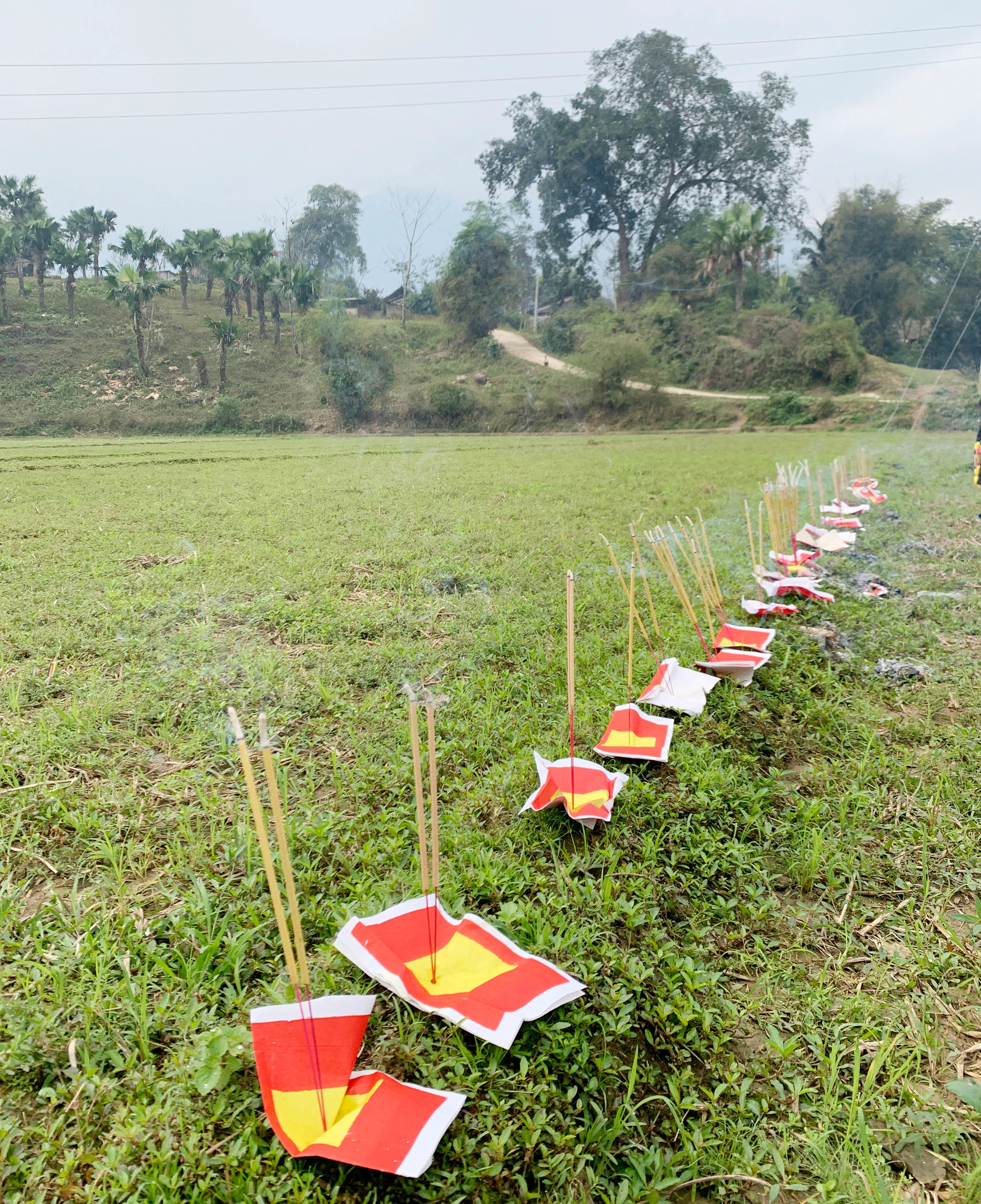 Mo Tham Thát là nghi lễ có ý nghĩa, giá trị về mặt địa lý, phong thủy và tín ngưỡng. Cánh đồng rộng trong thôn được thầy Mo chọn làm nơi chỉ hướng. Một tập giấy tiền, giấy vàng được đốt để thực hiện nghi lễ. Ba thầy mo thực hành vái ba vái thần linh, trời đất, rồi ông Mo Tham Thát đọc bài cúng, ý nghĩa như sau: Hôm nay có hương, hoa, năm mới đã đến, ông mo thay mặt dân làng đi chào ông Tham Thát… …Cầu mong ông phù hộ cho bản làng bình yên, người người mạnh khỏe, trồng lúa được mùa, có nhiều tiền bạc, đóng cổng làng cho yên (ngăn không cho cái xấu vào làng) cầu cho mọi thứ tốt đẹp vào làng. Ông Hoàng Văn Kể, thầy mo làng, người chủ trì nghi lễ Mo Tham Thát. Sau khi những nén hương được thắp, đã chọn được hướng kiêng, thầy mo sẽ chỉ cho người dân trong thôn, xã biết năm nay làm nhà, chuồng trại, đi buôn bán, hay đi rừng… phải kiêng hướng đã chọn. Năm Tân Sửu hướng kiêng là hướng Đông. Sau khi đã xác định chỉ hướng kiêng xong, thanh niên nam, nữ thi tài bắn nỏ, trước khi thi, ông mo thực hành nghi lễ bắn trước, sau đó thanh niên nam, nữ mới trổ tài. Nam, nữ thanh niên đội văn nghệ, thể thao mang theo nỏ và tên để thi nhau tranh tài bắn thủng tập giấy tiền vàng với ý nghĩa bắn nát được tập giấy năm đó toàn thể thôn, bản được bình yên, may mắn, phát triển.