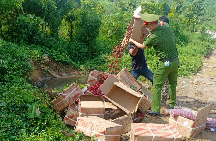 Lực lượng chức năng tiêu hủy số hàng nhập lậu.