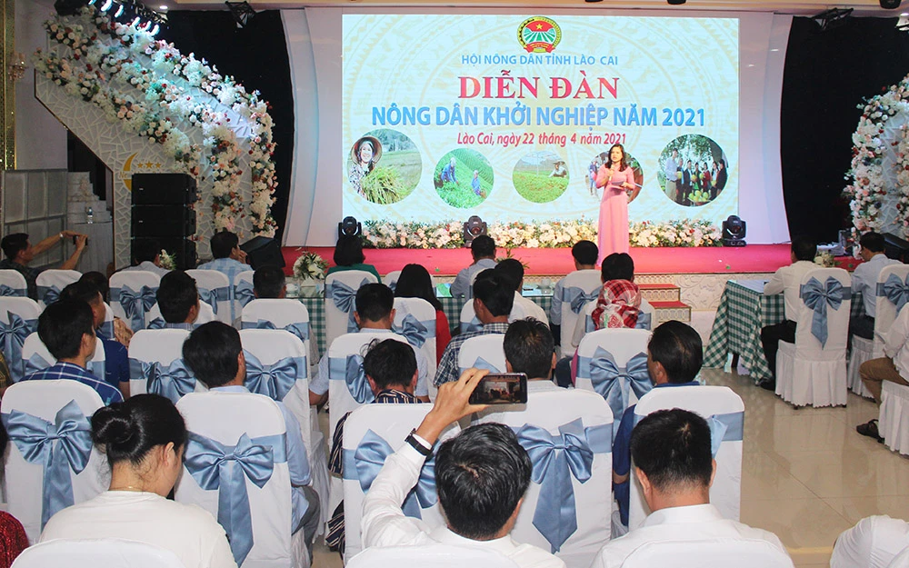 Hội Nông dân tỉnh tổ chức diễn đàn Nông dân khởi nghiệp 2021 ảnh 1