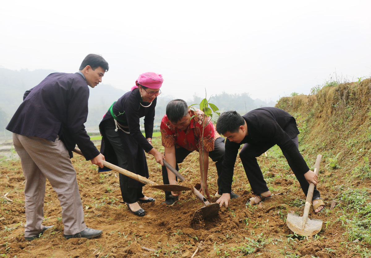 Người Tày ở Hợp Thành khôi phục nghi lễ thiêng dưới gốc đa làng ảnh 8 Người Tày ở Hợp Thành khôi phục nghi lễ thiêng dưới gốc đa làng ảnh 8