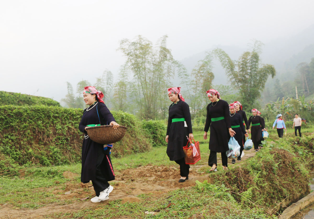 Người Tày ở Hợp Thành khôi phục nghi lễ thiêng dưới gốc đa làng ảnh 2 Người Tày ở Hợp Thành khôi phục nghi lễ thiêng dưới gốc đa làng ảnh 2