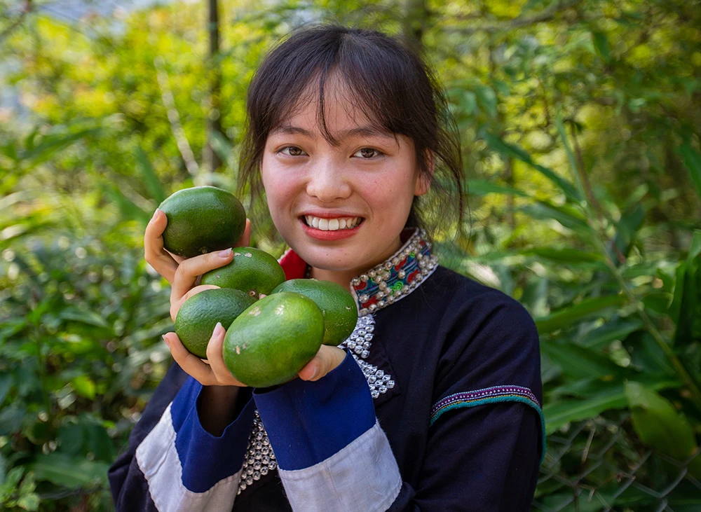 Quýt Mường Khương được coi là cây xóa đói, giảm nghèo cho các hộ đồng bào dân tộc Pa Dí, Mông ở Mường Khương. Quýt Mường Khương quả dẹt khi chín có màu vàng, vỏ mỏng, dễ bóc, vị ngọt và ít xơ. Quýt Mường Khương được chăm sóc cẩn thận. Quả quýt năm nay được đánh giá chất lượng tốt, ngon ngọt hơn và cũng được giá cao hơn so với mọi năm. Quýt Mường Khương đã được cấp chứng chỉ 3 sao trong chương trình OCOP của Lào Cai. Nhiều khách hàng tại thành phố Lào Cai đến đặt và mua sản phẩm quýt Mường Khương.