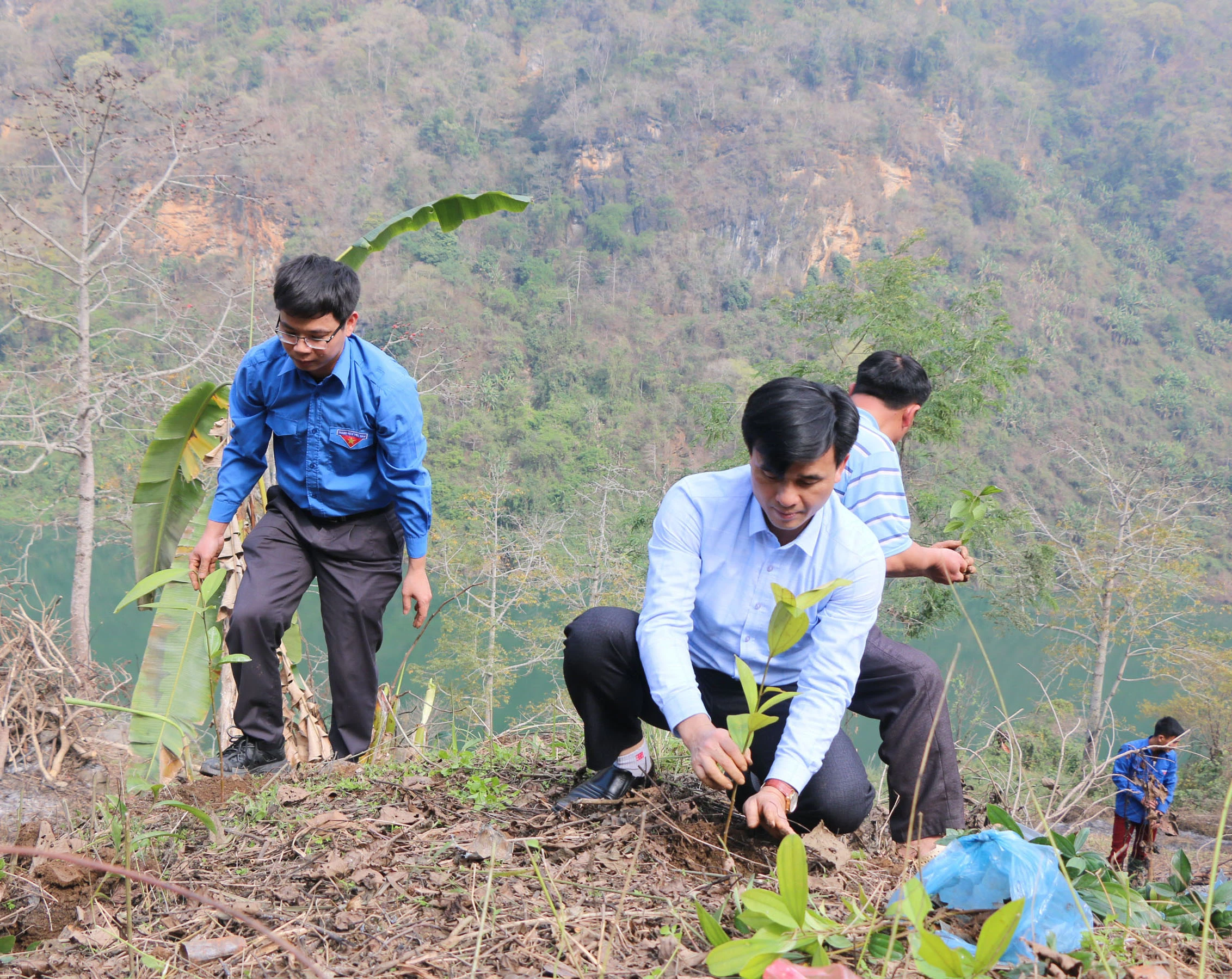 Đoàn viên, thanh niên giúp gia đình đoàn viên Vàng Seo Miến trồng quế.