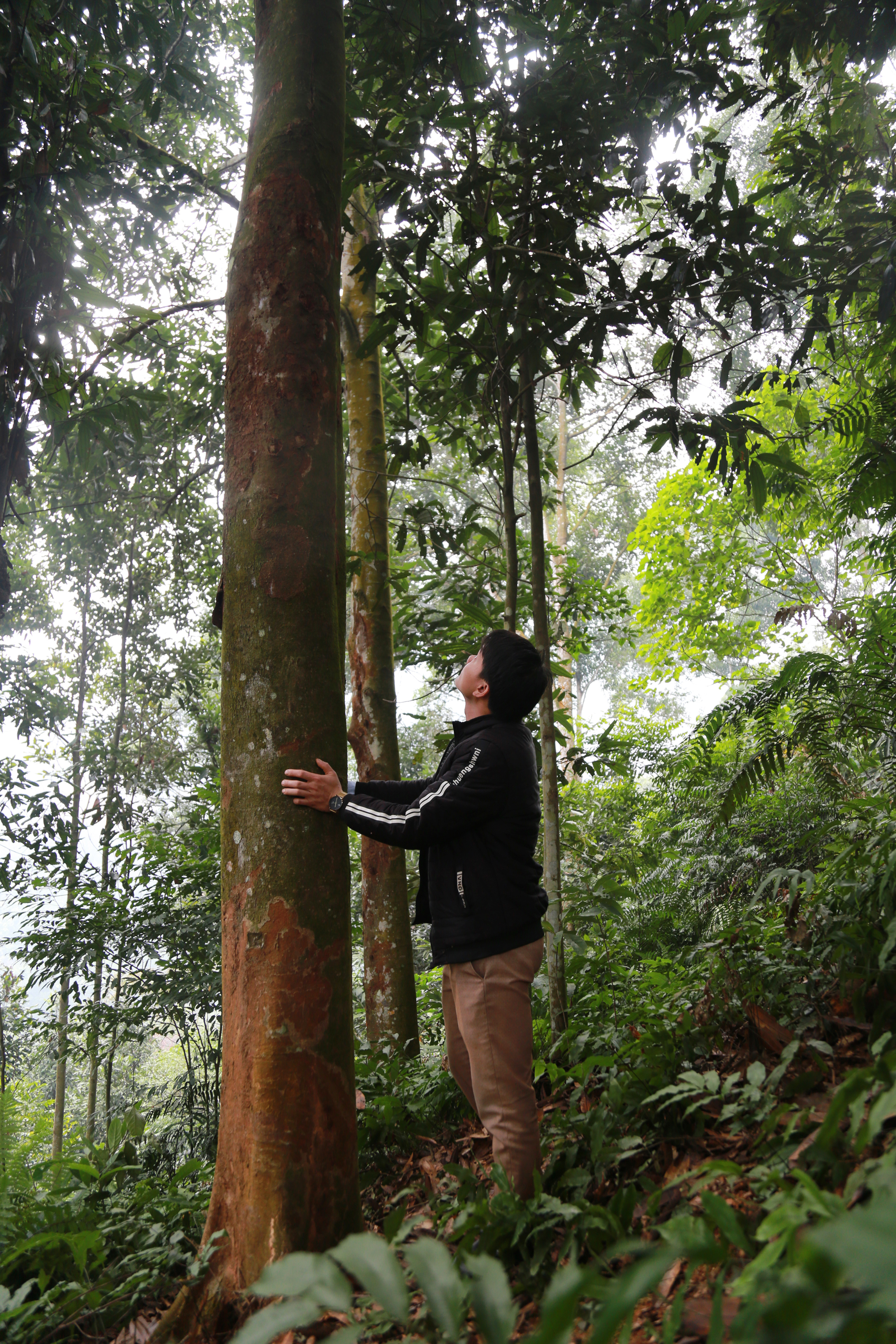 Sức vươn Cam Cọn ảnh 3