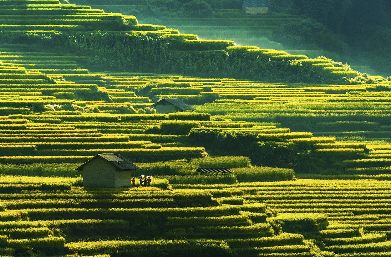 Lào Cai có 6 nhiếp ảnh gia được chọn tác phẩm triển lãm Ảnh nghệ thuật quốc tế lần thứ 11 ảnh 1 Lào Cai có 6 nhiếp ảnh gia được chọn tác phẩm triển lãm Ảnh nghệ thuật quốc tế lần thứ 11 ảnh 1