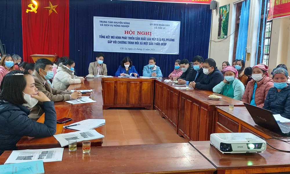 Quang cảnh hội nghị. Quang cảnh hội nghị.