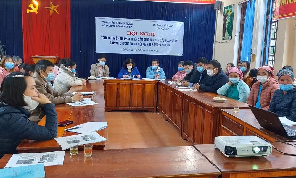 Quang cảnh hội nghị. Quang cảnh hội nghị.