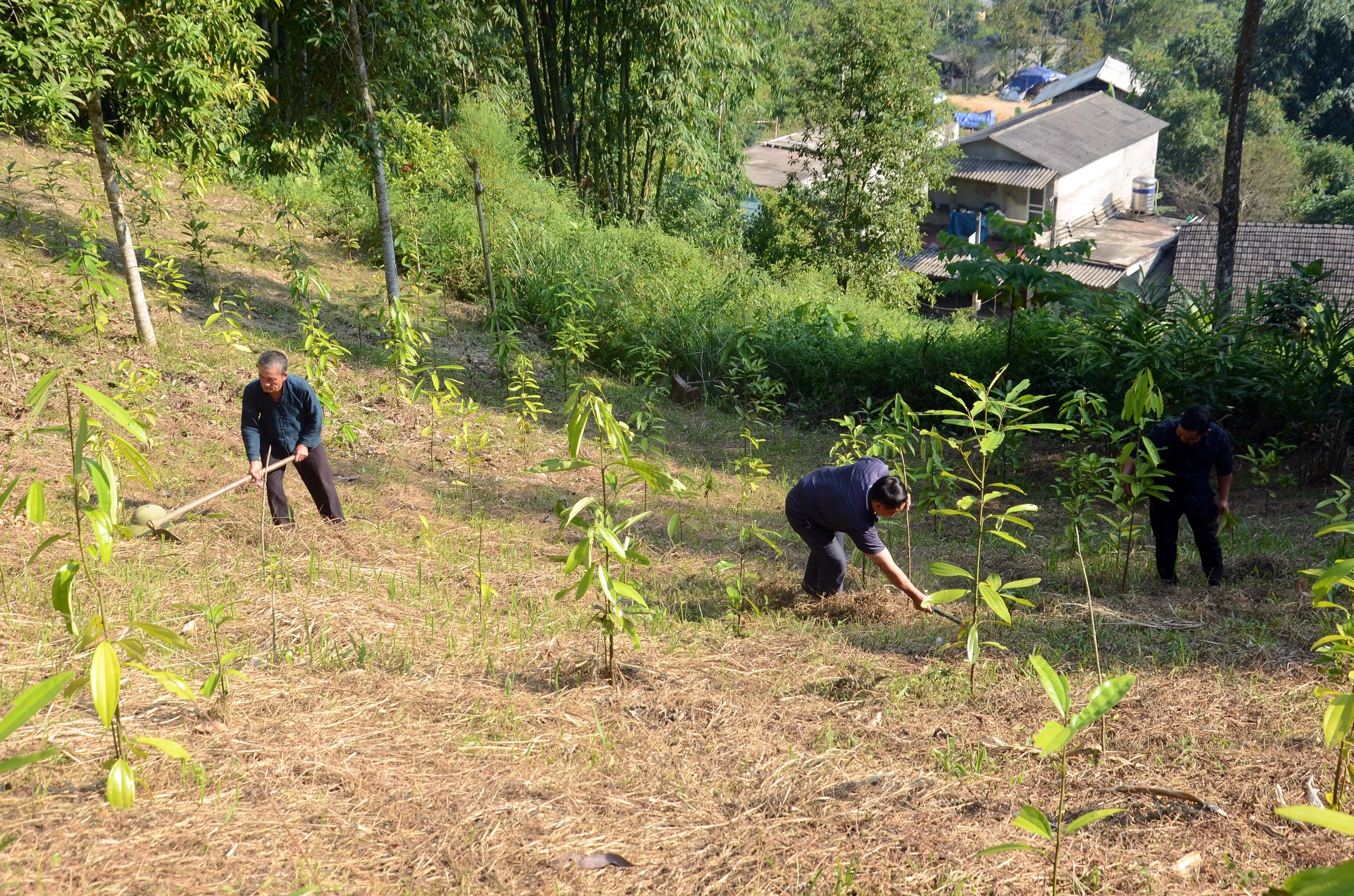Phát huy tính tiền phong của đảng viên người dân tộc thiểu số ảnh 6