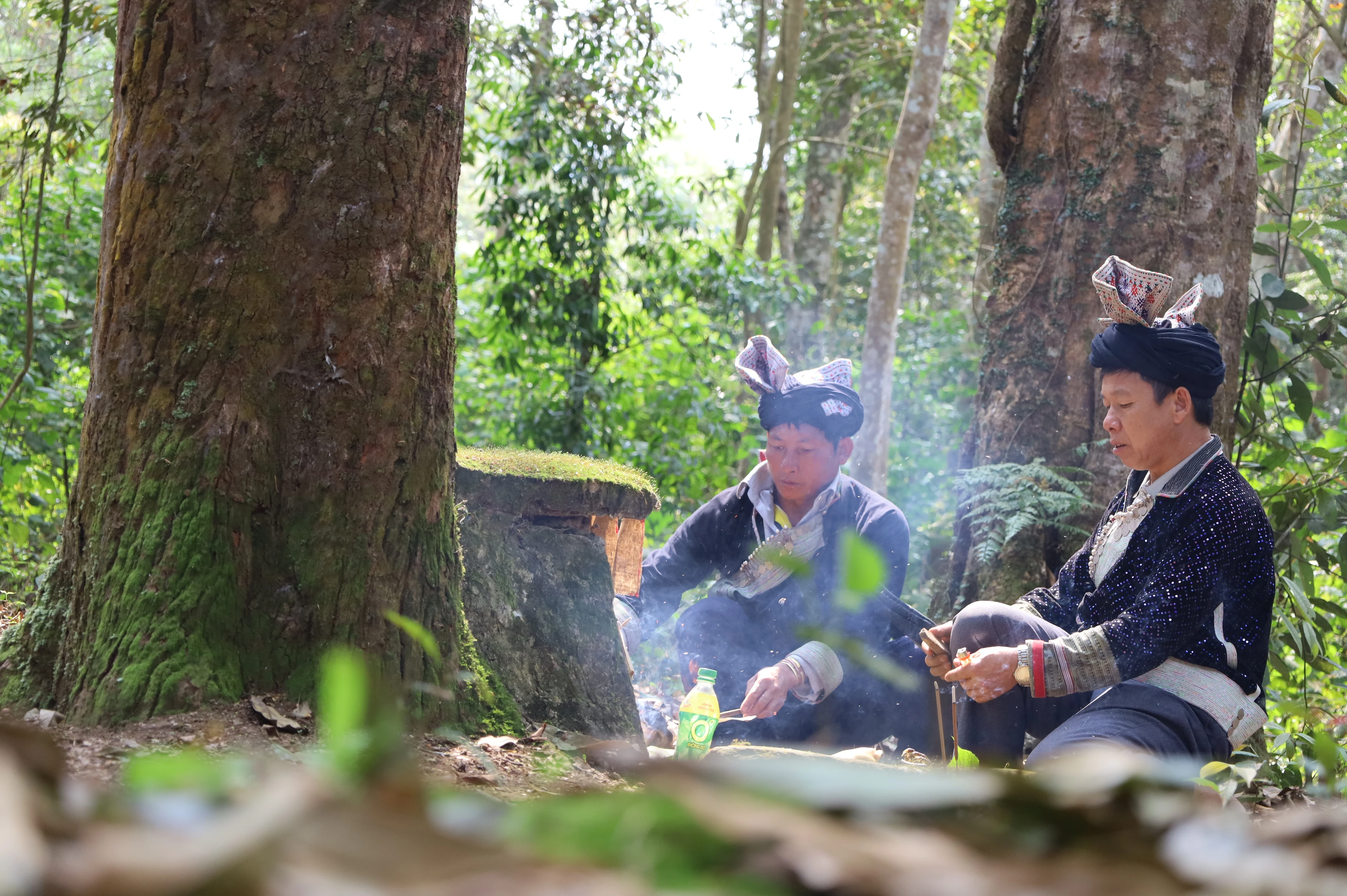 Giữ mãi cánh rừng xanh ảnh 7 Giữ mãi cánh rừng xanh ảnh 7