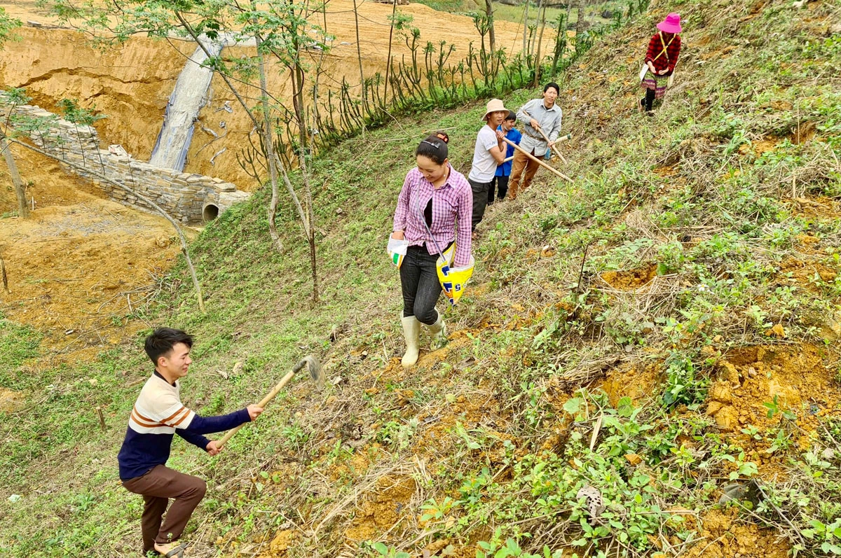 Trên các sườn núi cao, người dân hối hả vào vụ. Nông cụ sau thời gian dài "nghỉ ngơi" được rèn sắc để vào vụ mới. Phát quang nương rẫy, làm đất là khâu quan trọng cần đến sức khỏe của nam giới. Người Dao đỏ xã Dền Sáng (Bát Xát) gieo trồng vụ mới. Nông dân xã Cốc Ly (Bắc Hà) đổi công giúp nhau trồng ngô. Chủ yếu được trồng trên dốc núi đá, nên các công đoạn trồng ngô được làm thủ công. Những nơi đất bằng phẳng, gần mạch nước, ngô sẽ sinh trưởng, phát triển nhanh hơn. Kiểm tra hạt trước khi xuống giống... ... tất cả cho một mùa vụ bội thu.