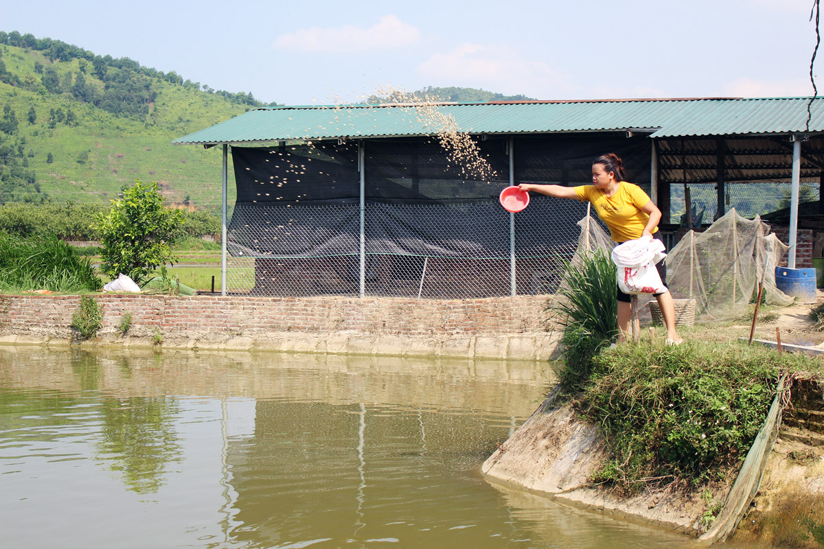 Giúp nông dân phát triển kinh tế ảnh 1