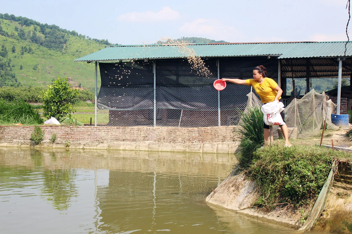 Giúp nông dân phát triển kinh tế ảnh 1 Giúp nông dân phát triển kinh tế ảnh 1